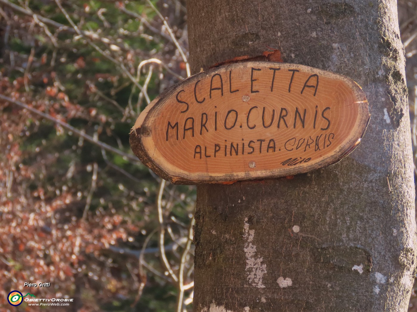 51 Sentiero di belle scalette, dedicato al grande alpinista Mario Curnis.JPG